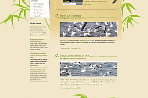 个人网站模板 免费-个人主页网页设计模板免费（网页设计个人主页模板）