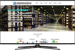 专业电商小程序制作网站-上海网站建设公司做网站定制，排名前十