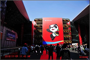 雅安建筑模板网站公司-建设熊猫文化宫，构筑文化旅游交流窗口